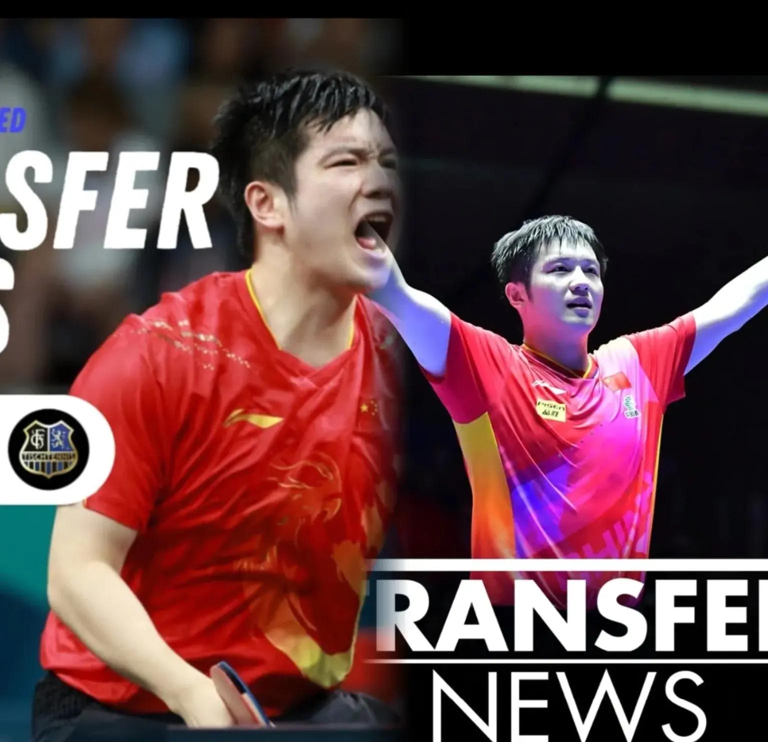 官网-波兰乒乓球队鏖战奥地利乒乓球队，樊振东完成帽子戏法的简单介绍